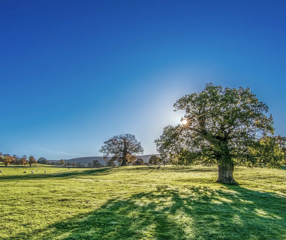 Lifestyle Change Support Group